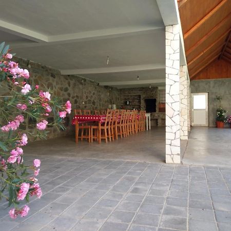 Pensiunea Tiuta Hotel Corbeni Exterior foto