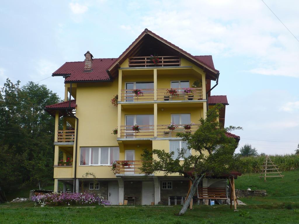 Pensiunea Tiuta Hotel Corbeni Exterior foto